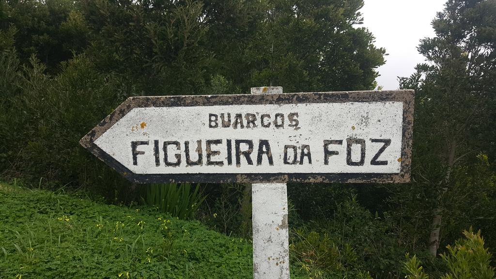 Villa da Melis Buarcos Bagian luar foto